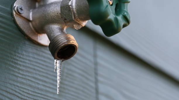 Best Sewer Line Repair  in Gowanda, NY